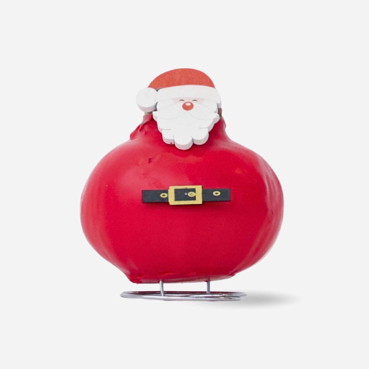 Amaryllis - Hippeastrum 'Wax Special Santa Claus'