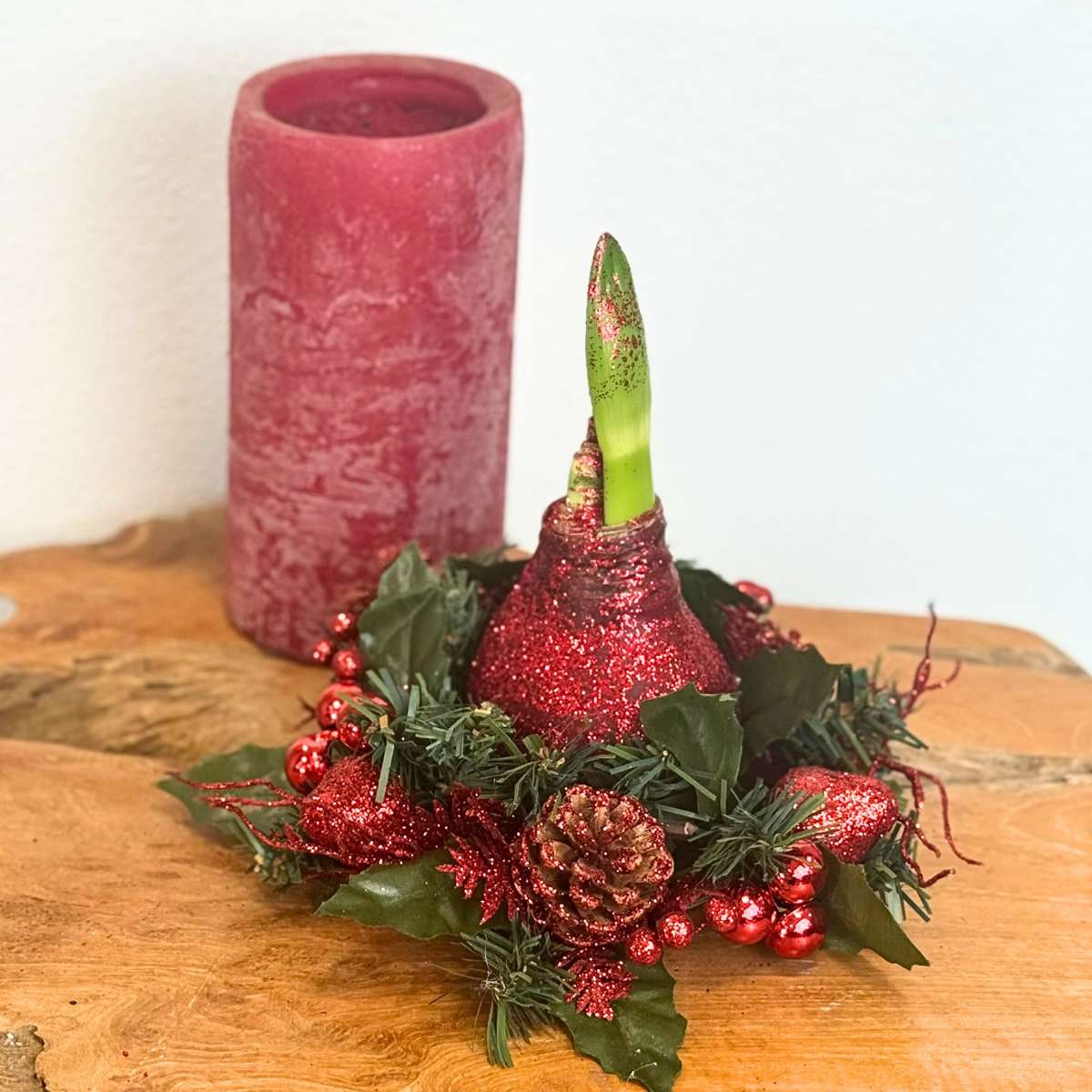 Amaryllis - Hippeastrum 'Christmas Wreath' - Red