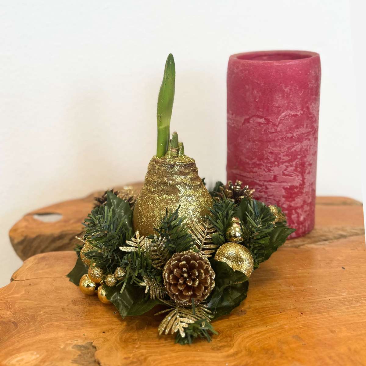 Amaryllis - Hippeastrum 'Christmas Wreath Mix'