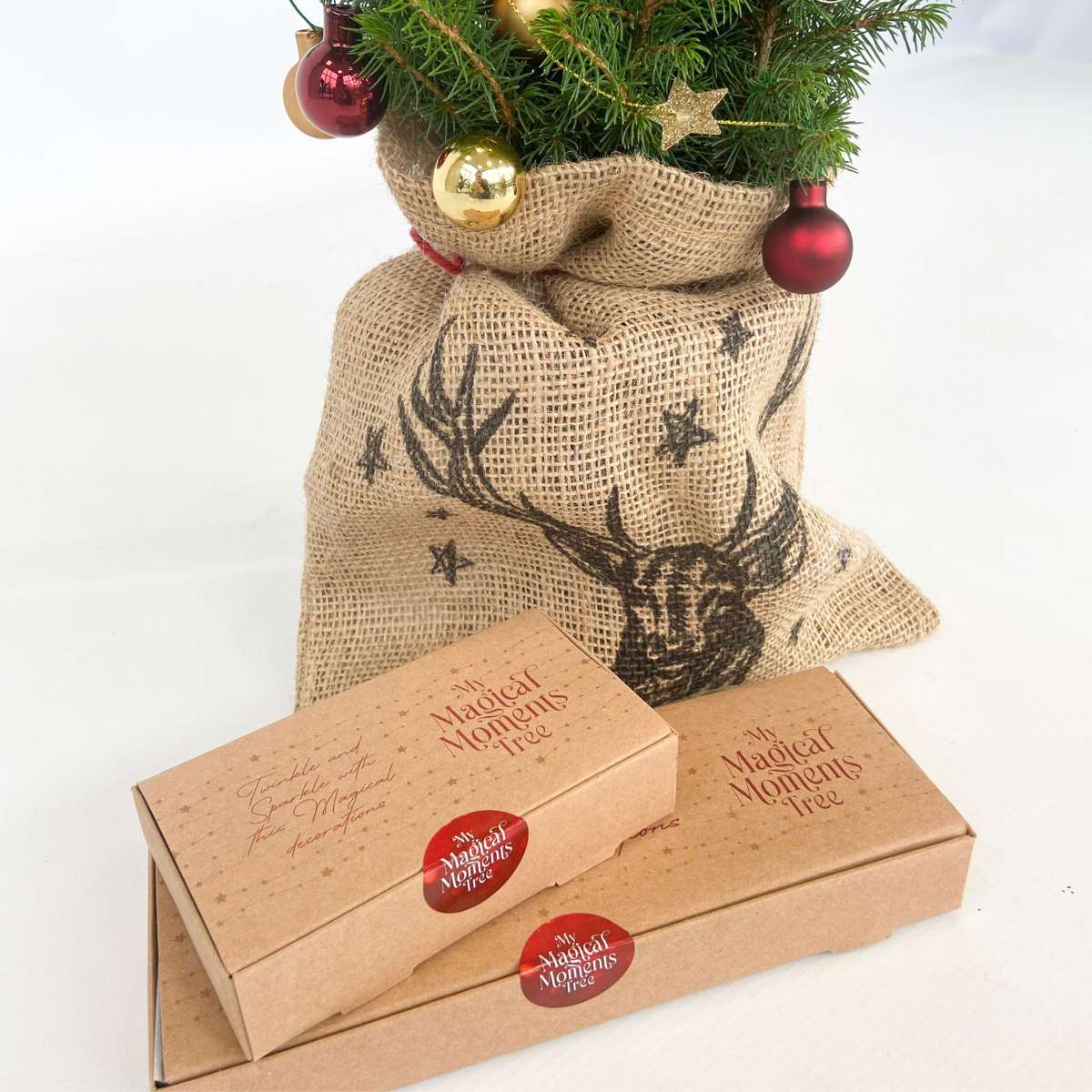 Other Green Houseplants Mini-Christmas-Tree With Jute-Bag – Picea Glauca Conica – 55–65Cm – ⌀15Cm