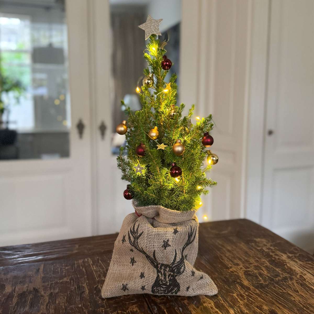 Other Green Houseplants Mini-Christmas-Tree With Jute-Bag – Picea Glauca Conica – 55–65Cm – ⌀15Cm