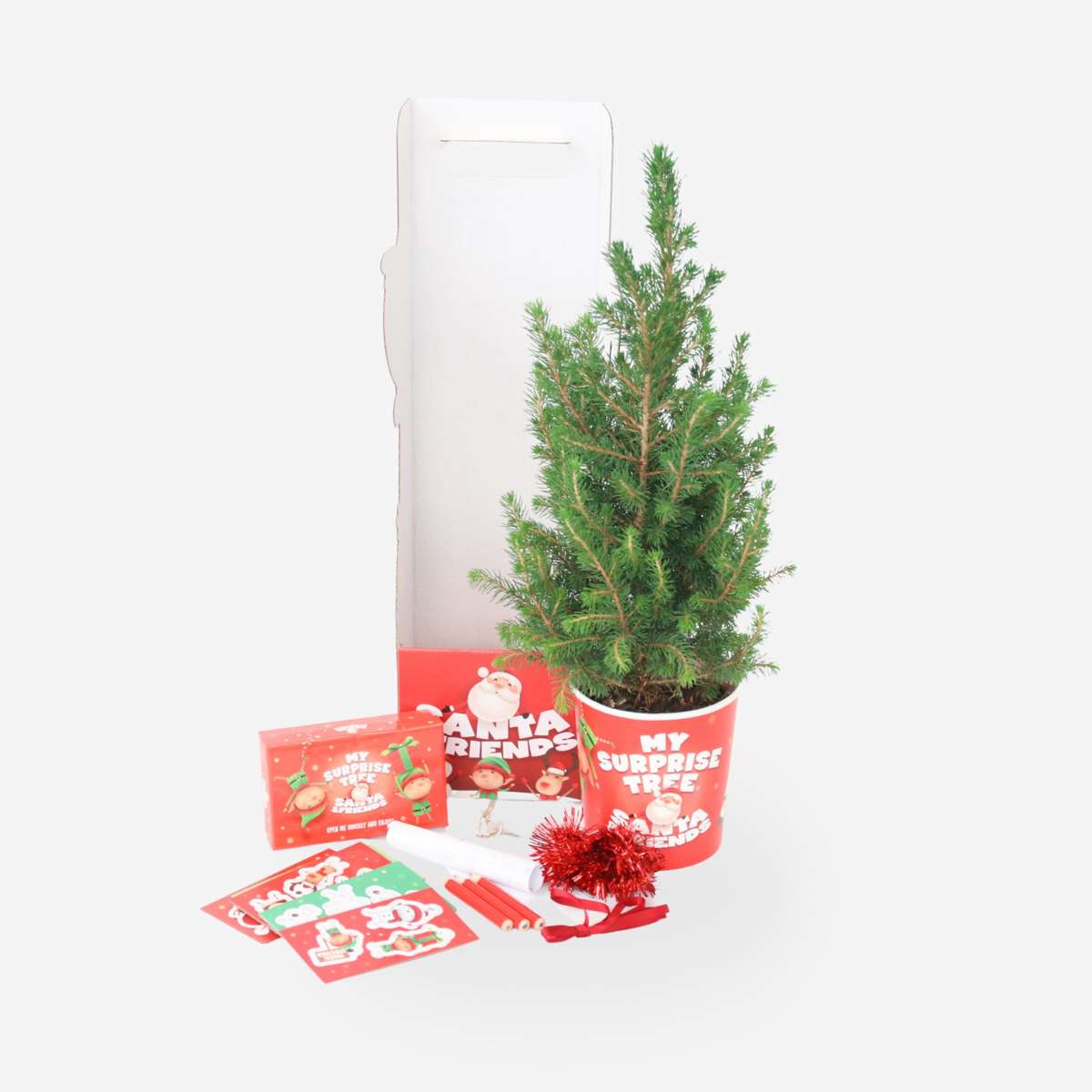 Picea Conica - Mini Christmas Tree & Decorations - Creactive Activity For Kids