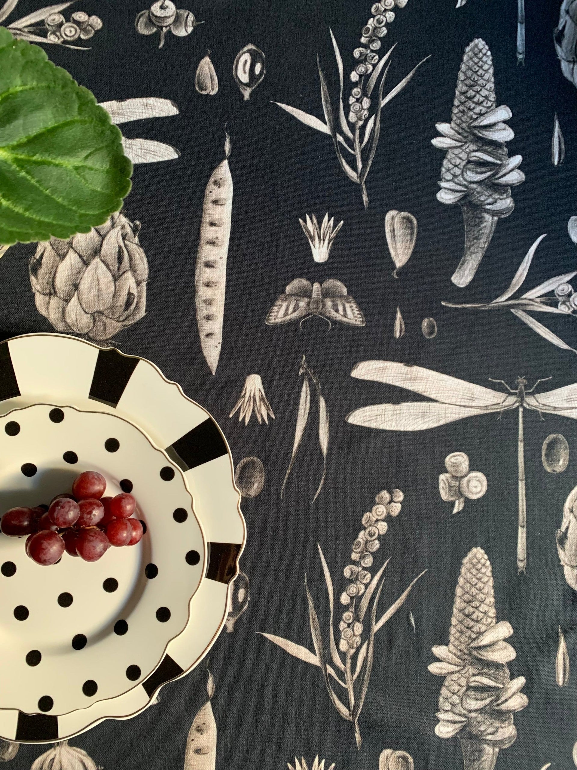 Round Tablecloth - Seeds Carbon